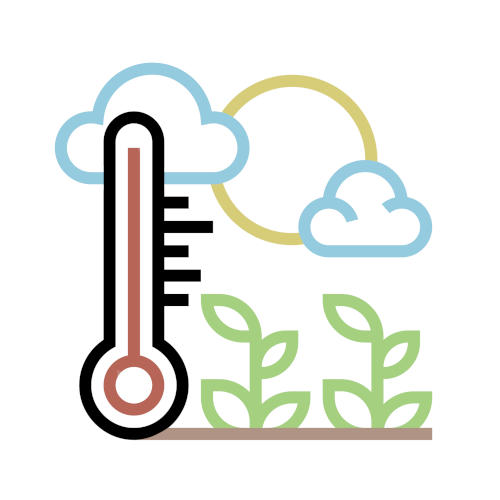 Local climate Local climate