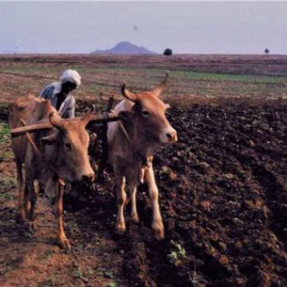 Ploughing and planking in spate irrigated areas