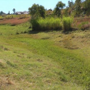Shallow groundwater storage