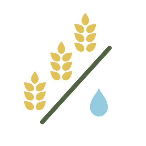 Water productivity Water productivity