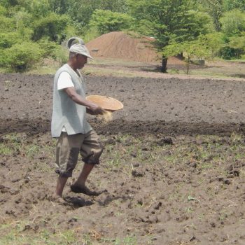 Adjusting crop sowing dates