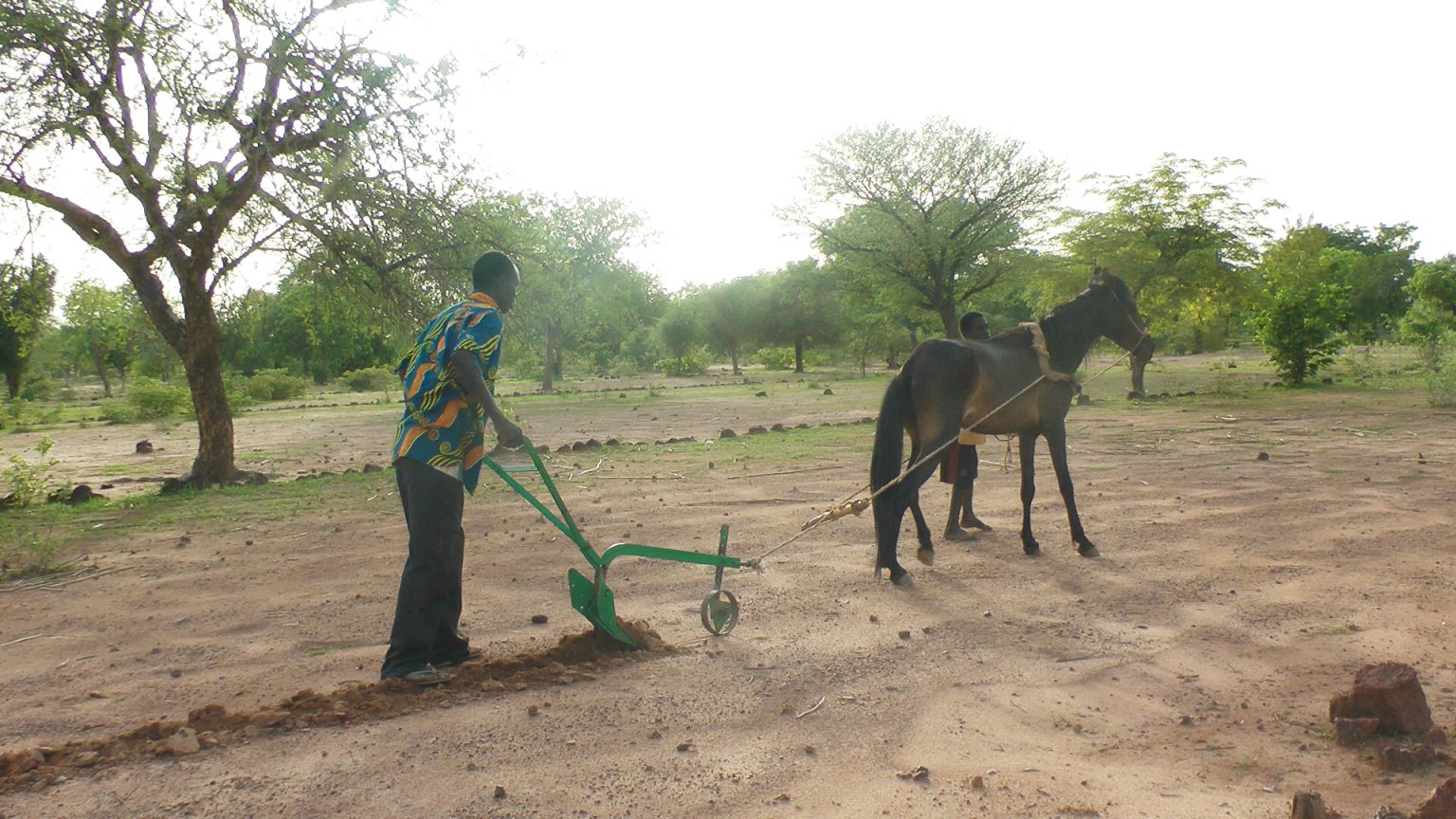 Conservation tillage and direct seeding Waterproductivity