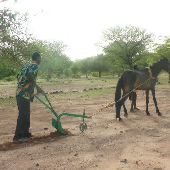 Conservation tillage and direct seeding