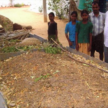 Improving soil structure by using invertebrates