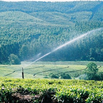 Pressurized irrigation system