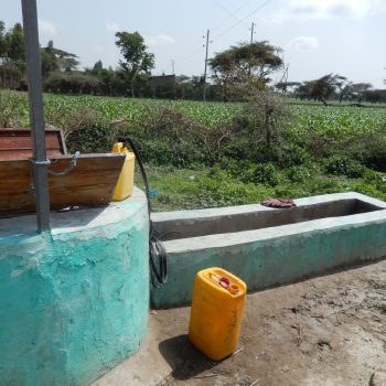 Supplemental irrigation