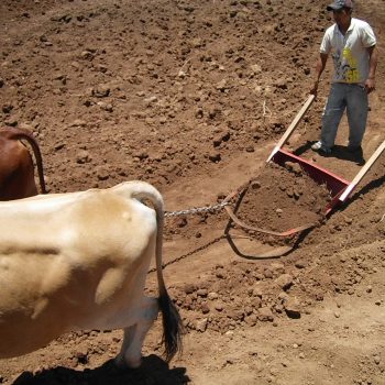 Land levelling