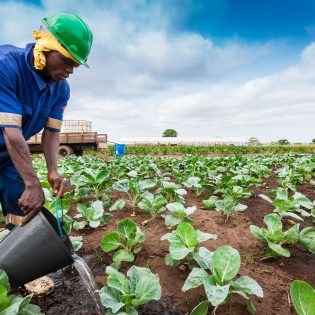 Deficit irrigation
