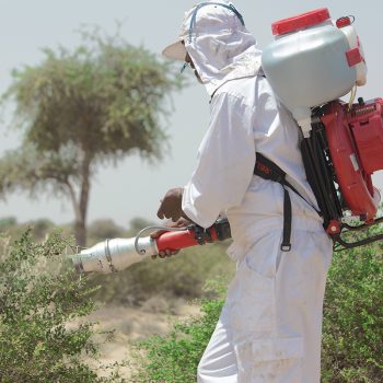 Desert locust control