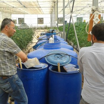 Precision use of chemicals: fertigation