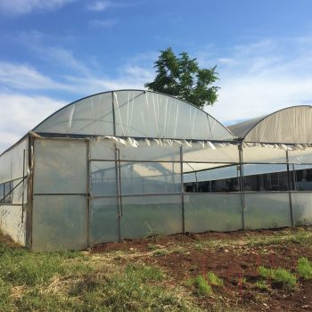 Greenhouses and polytunnels