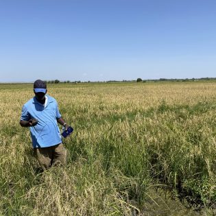 Plant disease control