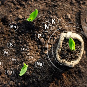 Micro-nutrients