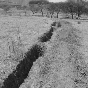 Trenches and swales