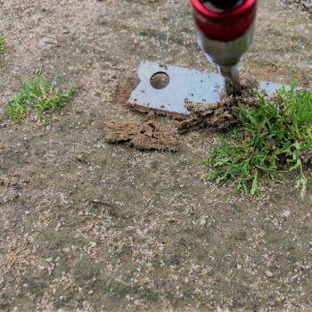 Weed management